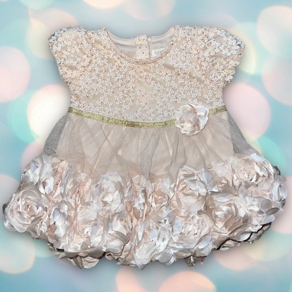 Nannette Baby Girl’s Cream Formal Embroidered Floral Tulle Dress Size 12 Months - Picture 1 of 4